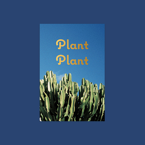 [엽서북] Plant Plant